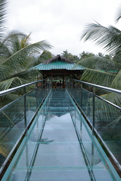 Glass Bridge