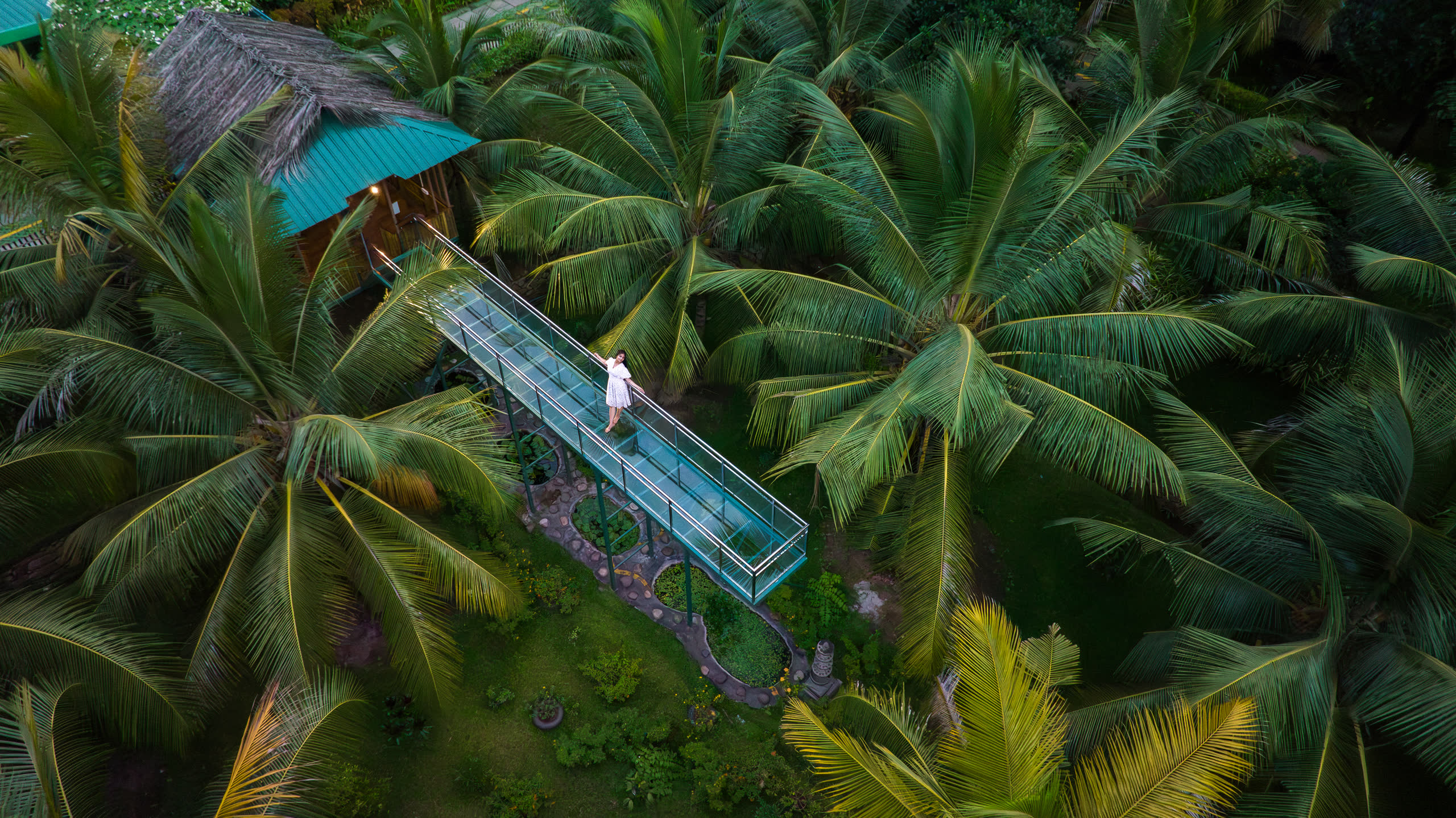 Glass Bridge