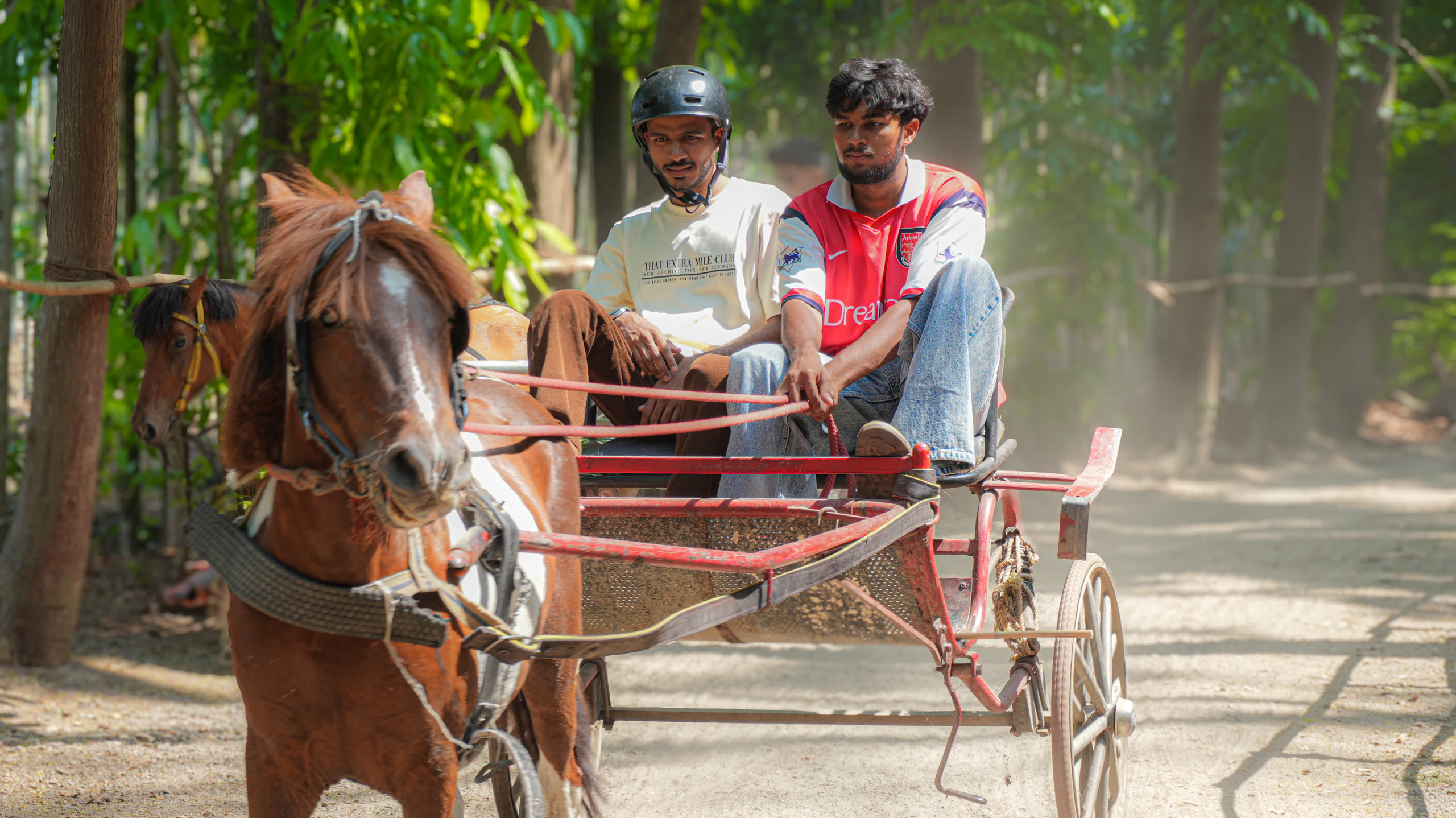 Horse Cart