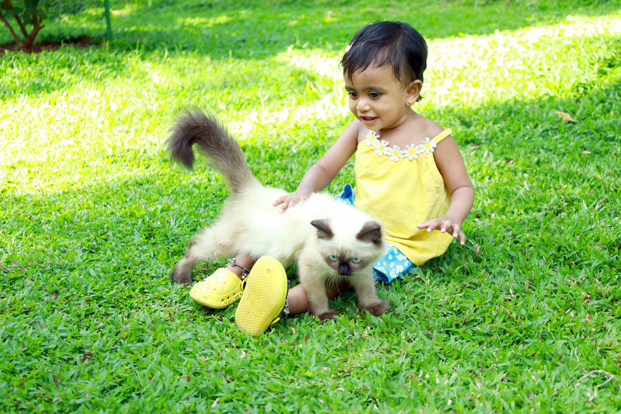 Kids with farm animals