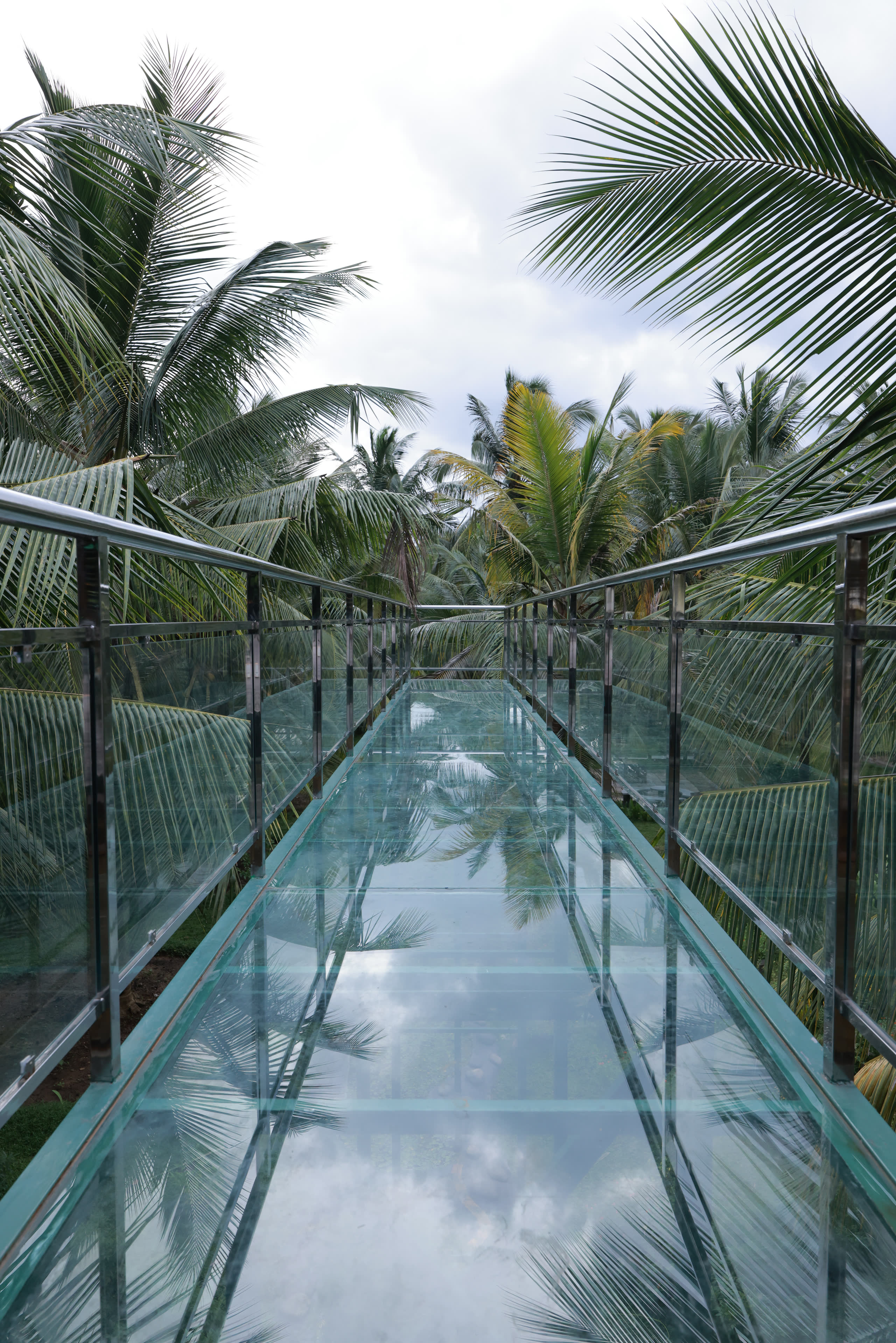 Thanima Farm Life Kerala farm resort gallery photo 18