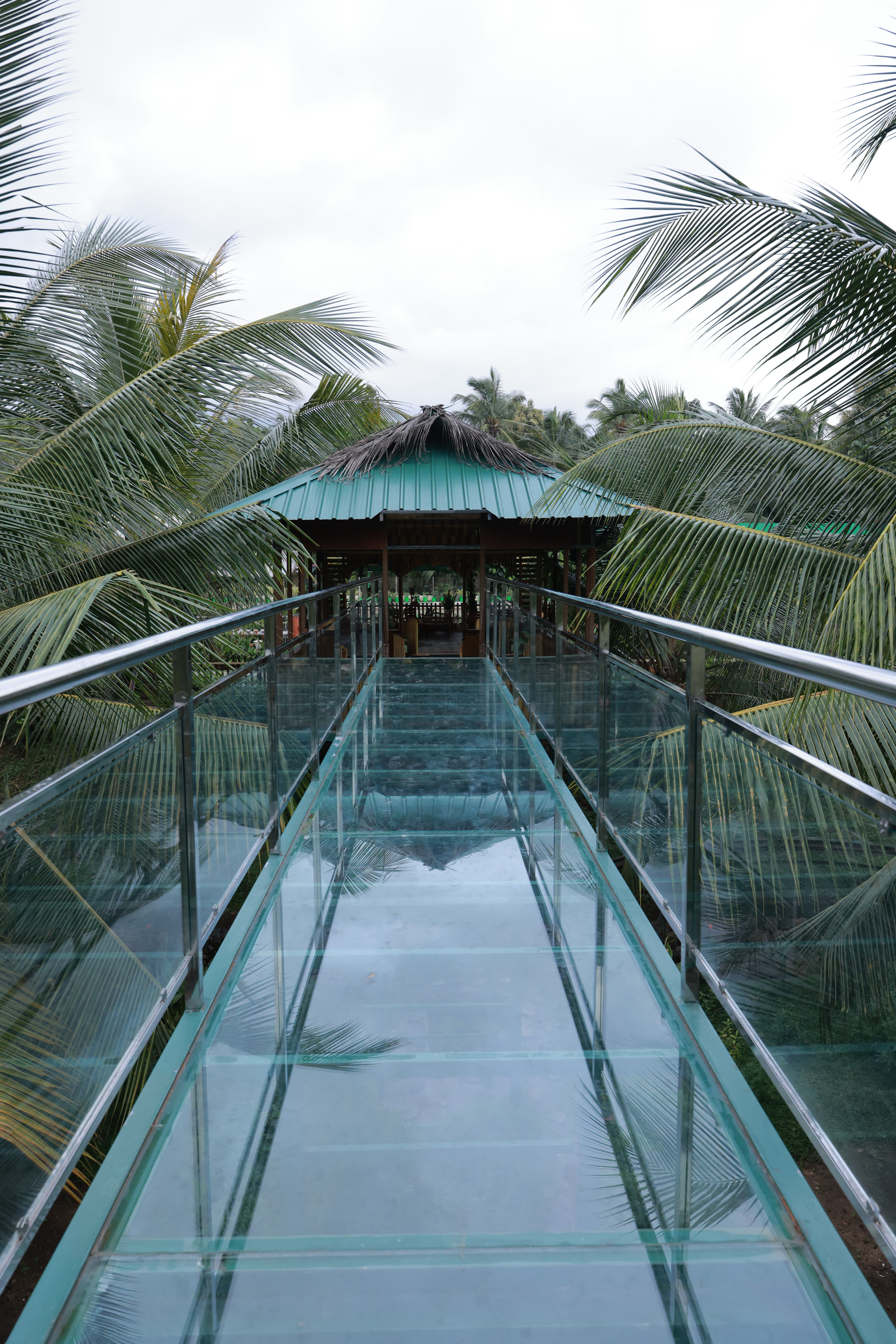 Thanima Farm Life Kerala farm resort gallery photo 19