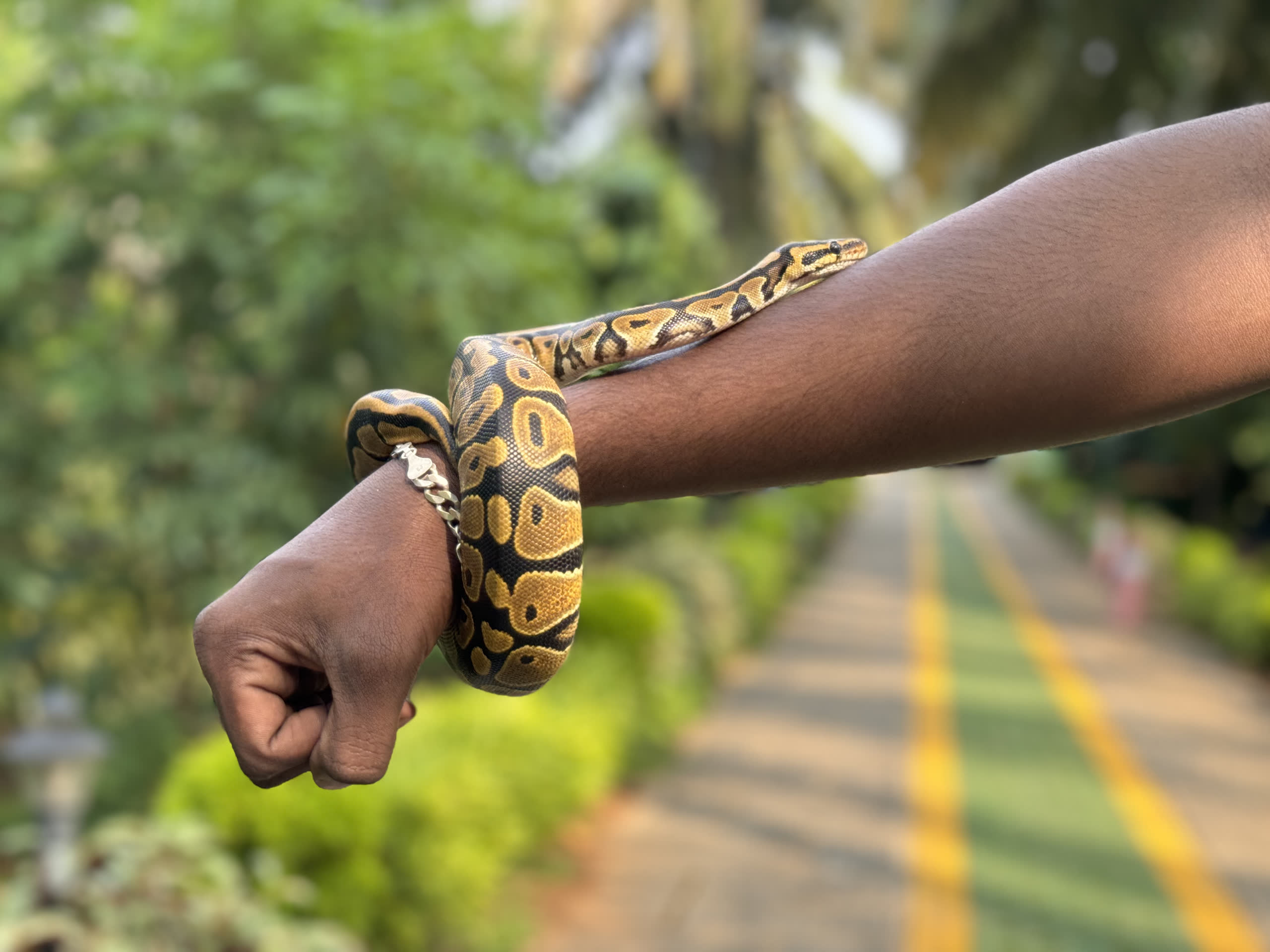 Thanima Farm Life Kerala farm resort gallery photo 27