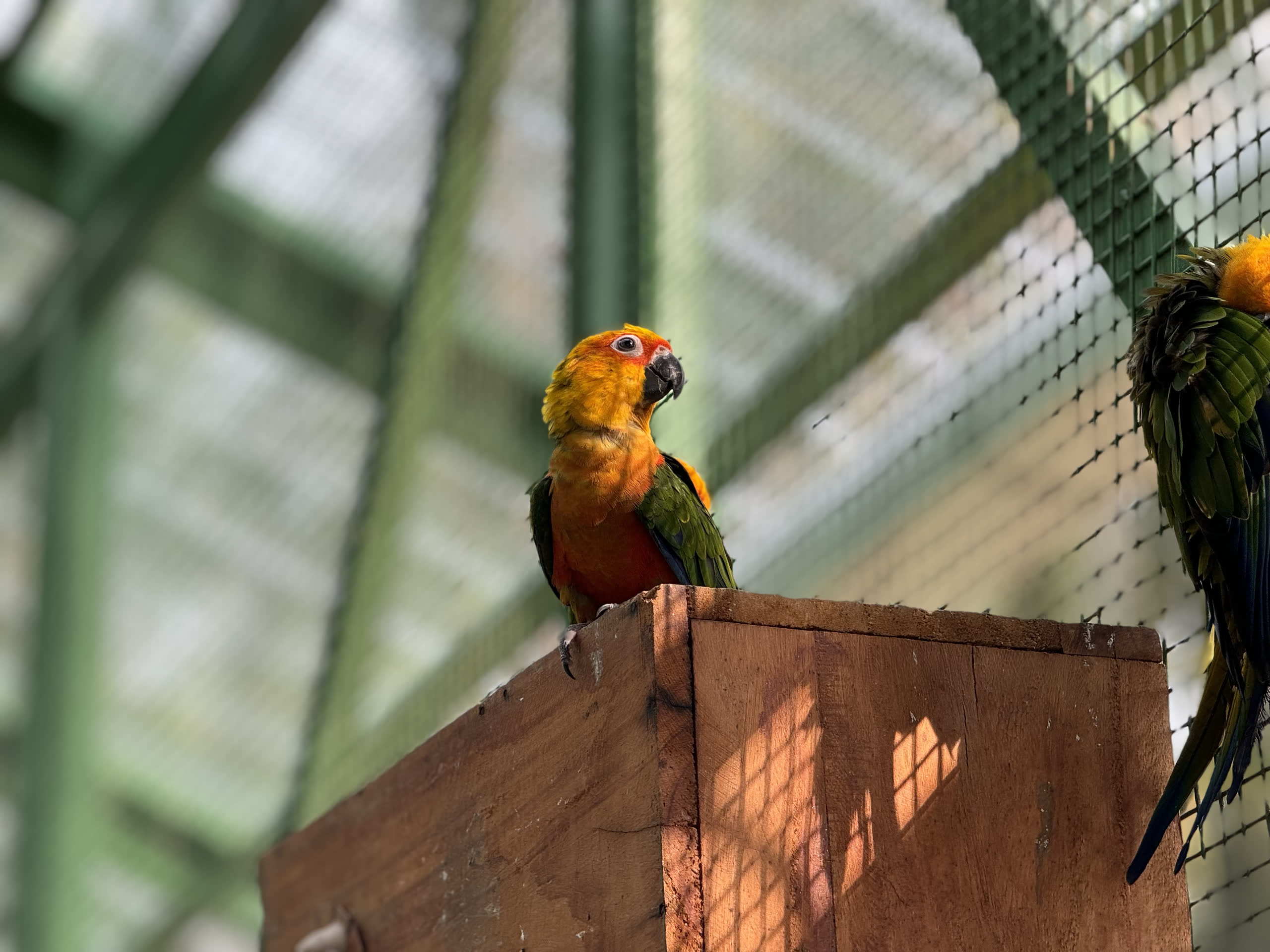 Thanima Farm Life Kerala farm resort gallery photo 29