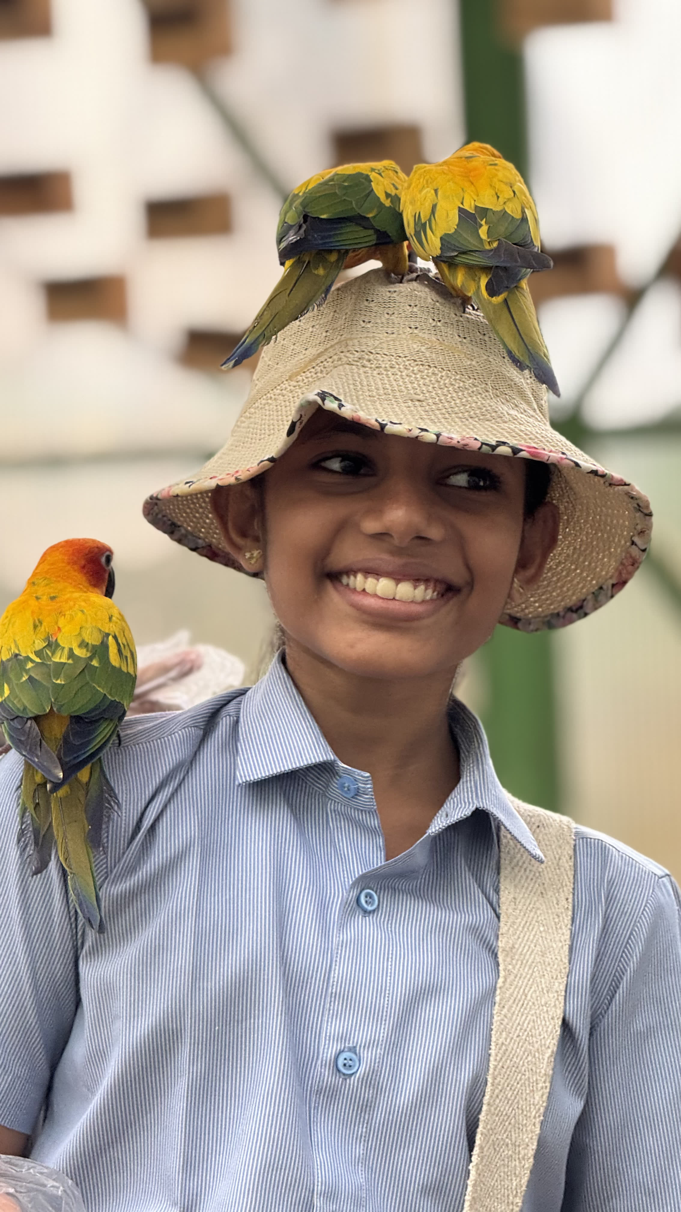 Thanima Farm Life Kerala farm resort gallery photo 32